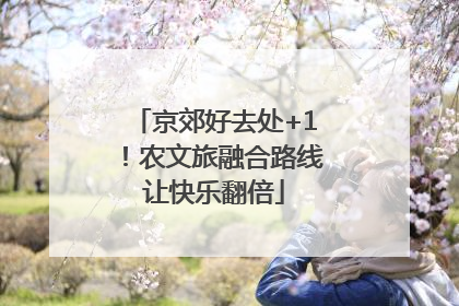 京郊好去处+1！农文旅融合路线让快乐翻倍