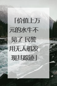 价值上万元的水牛不见了 民警用无人机发现其踪迹