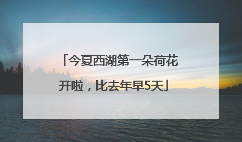 今夏西湖第一朵荷花开啦，比去年早5天