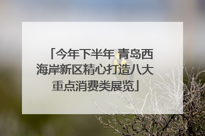 今年下半年 青岛西海岸新区精心打造八大重点消费类展览
