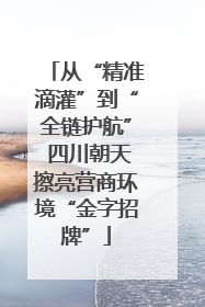从“精准滴灌”到“全链护航” 四川朝天擦亮营商环境“金字招牌”