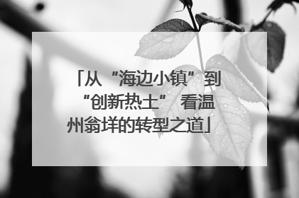 从“海边小镇”到“创新热土” 看温州翁垟的转型之道
