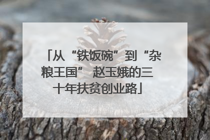 从“铁饭碗”到“杂粮王国” 赵玉娥的三十年扶贫创业路