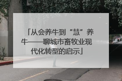 从会养牛到“慧”养牛——聊城市畜牧业现代化转型的启示