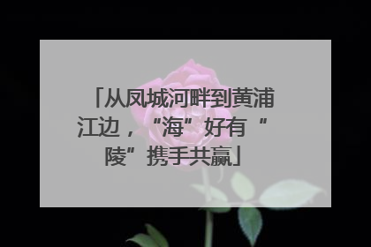 从凤城河畔到黄浦江边，“海”好有“陵”携手共赢