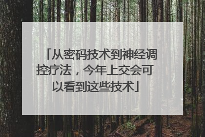从密码技术到神经调控疗法，今年上交会可以看到这些技术