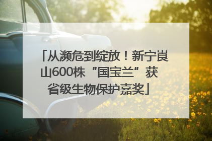 从濒危到绽放！新宁崀山600株“国宝兰”获省级生物保护嘉奖