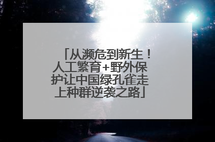 从濒危到新生！人工繁育+野外保护让中国绿孔雀走上种群逆袭之路