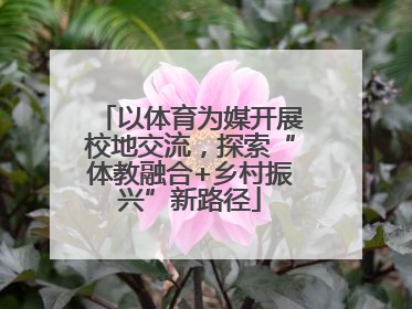 以体育为媒开展校地交流，探索“体教融合+乡村振兴”新路径