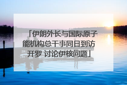 伊朗外长与国际原子能机构总干事同日到访开罗 讨论伊核问题