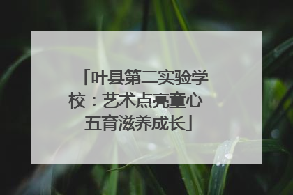 叶县第二实验学校：艺术点亮童心 五育滋养成长