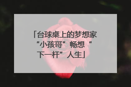 台球桌上的梦想家 “小孩哥”畅想“下一杆”人生