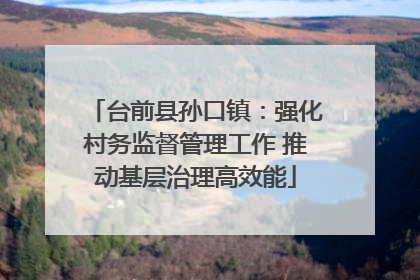 台前县孙口镇：强化村务监督管理工作 推动基层治理高效能