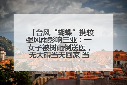 台风“蝴蝶”携较强风雨影响三亚：一女子被树砸倒送医，无大碍当天回家 当地已紧急清障