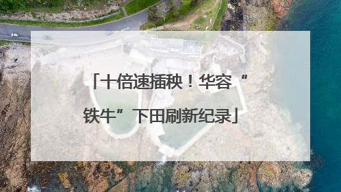 十倍速插秧！华容“铁牛”下田刷新纪录