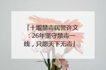 十堰禁毒民警许文：26年坚守禁毒一线，只愿天下无毒