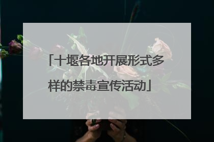 十堰各地开展形式多样的禁毒宣传活动