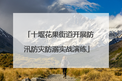 十堰花果街道开展防汛防灾防溺实战演练