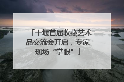 十堰首届收藏艺术品交流会开启，专家现场“掌眼”