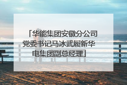 华能集团安徽分公司党委书记马冰武履新华电集团副总经理
