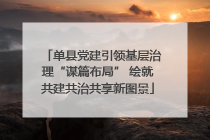 单县党建引领基层治理“谋篇布局” 绘就共建共治共享新图景