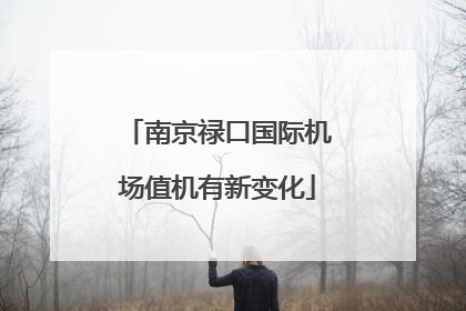 南京禄口国际机场值机有新变化