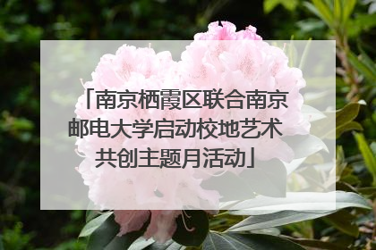 南京栖霞区联合南京邮电大学启动校地艺术共创主题月活动