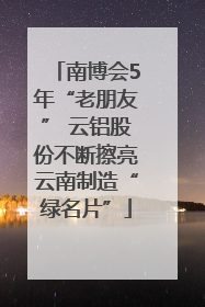 南博会5年“老朋友” 云铝股份不断擦亮云南制造“绿名片”