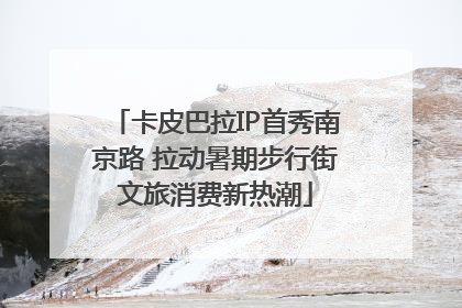 卡皮巴拉IP首秀南京路 拉动暑期步行街文旅消费新热潮