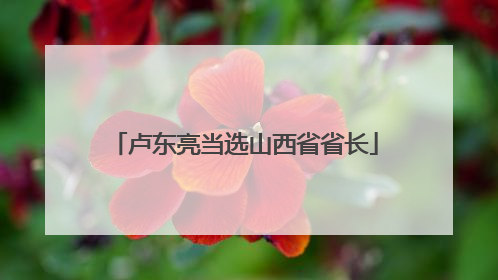 卢东亮当选山西省省长