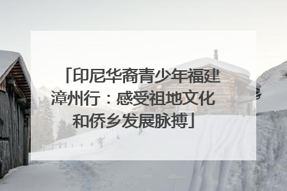 印尼华裔青少年福建漳州行：感受祖地文化和侨乡发展脉搏