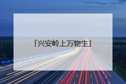 兴安岭上万物生