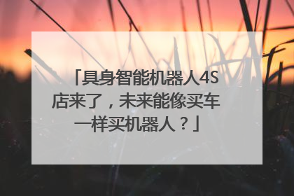 具身智能机器人4S店来了，未来能像买车一样买机器人？