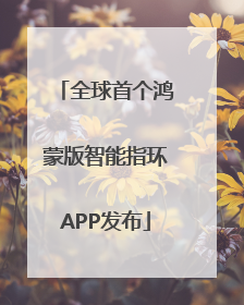 全球首个鸿蒙版智能指环APP发布