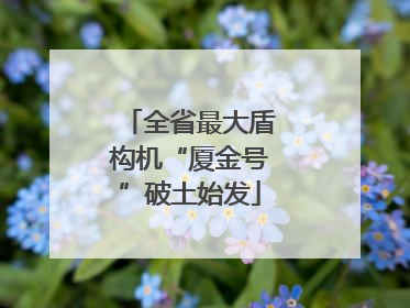 全省最大盾构机“厦金号”破土始发