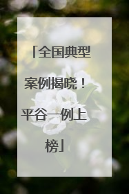 全国典型案例揭晓！平谷一例上榜
