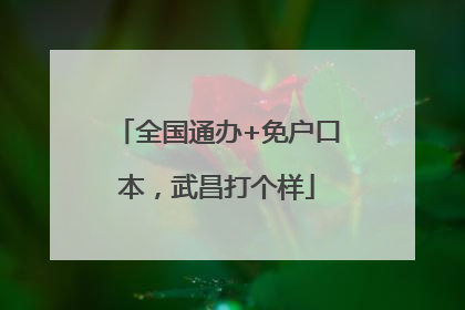 全国通办+免户口本，武昌打个样