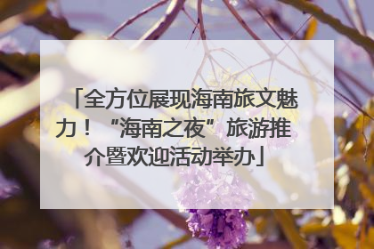 全方位展现海南旅文魅力！“海南之夜”旅游推介暨欢迎活动举办