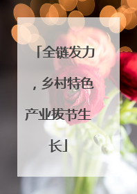 全链发力，乡村特色产业拔节生长