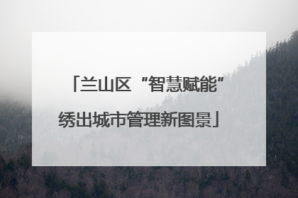 兰山区“智慧赋能”绣出城市管理新图景