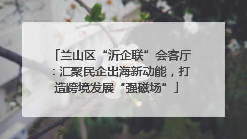 兰山区“沂企联”会客厅：汇聚民企出海新动能，打造跨境发展“强磁场”