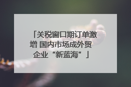 关税窗口期订单激增 国内市场成外贸企业“新蓝海”