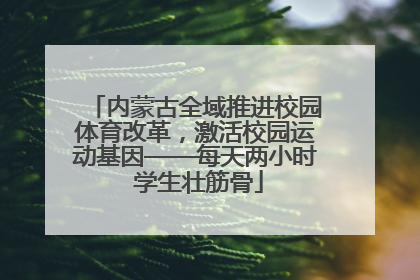 内蒙古全域推进校园体育改革，激活校园运动基因——每天两小时 学生壮筋骨