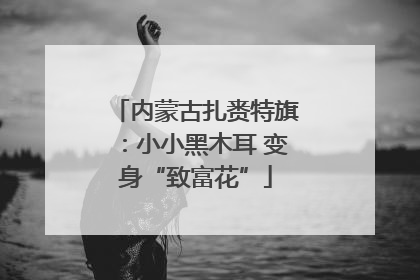 内蒙古扎赉特旗：小小黑木耳 变身“致富花”