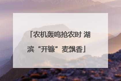 农机轰鸣抢农时 湖滨“开镰”麦飘香