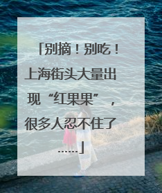 别摘！别吃！上海街头大量出现“红果果”，很多人忍不住了……