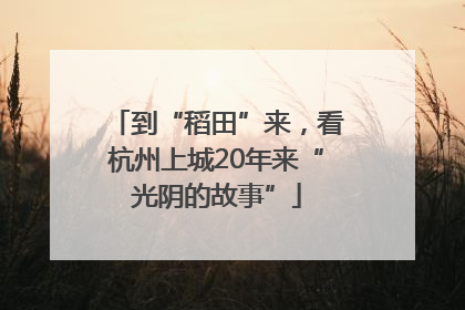 到“稻田”来，看杭州上城20年来“光阴的故事”
