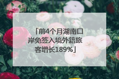 前4个月湖南口岸免签入境外籍旅客增长189%