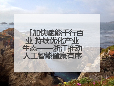 加快赋能千行百业 持续优化产业生态——浙江推动人工智能健康有序发展观察