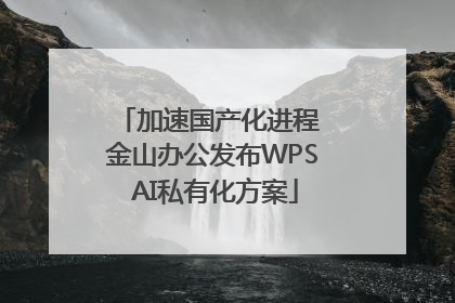 加速国产化进程 金山办公发布WPS AI私有化方案